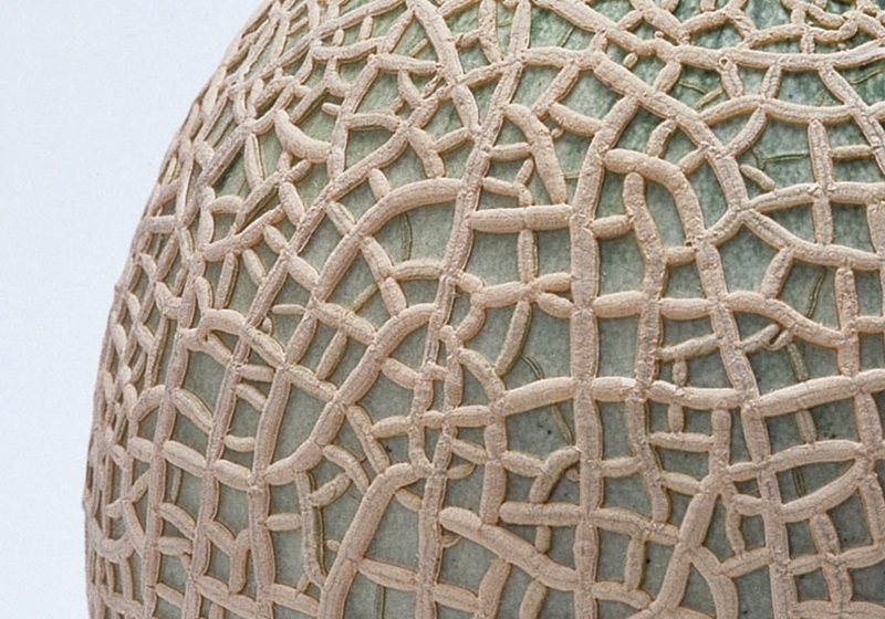 选择哈密瓜,选哈密瓜的诀窍