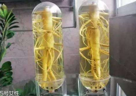 熟地黄泡酒的功效和作用,枸杞熟地黄泡酒的功效