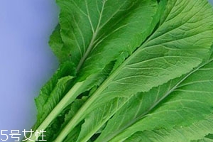 君达菜是什么菜???,君达菜是什么蔬菜