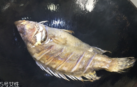 臭桂鱼的做法腌制,臭桂鱼的做法视频