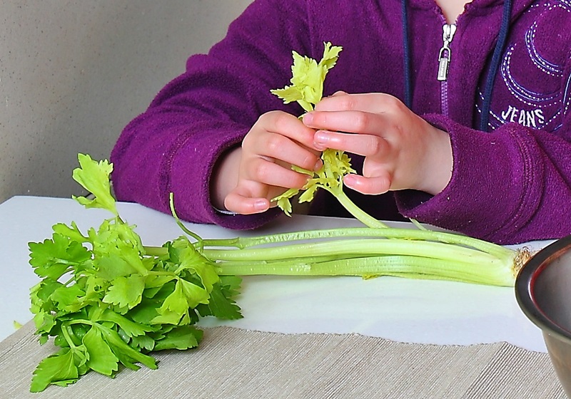 保存芹菜的方法,芹菜保存方法 焯水 保存芹菜的方法,芹菜保存方法 焯水