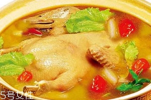 老鸭汤用哪种鸭子,老鸭汤用什么鸭子