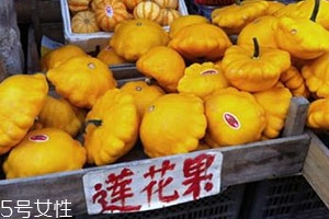 飞碟瓜是什么植物,飞碟瓜是什么瓜