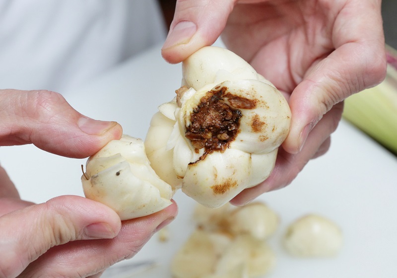 新鲜百合怎么挑选好坏,新鲜百合怎么挑选