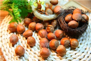 榛果是什么样子的,榛果是什么意思 榛果是什么样子的,榛果是什么意思