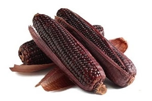 玉米的好坏如何鉴别,怎样分辨黑玉米是假的