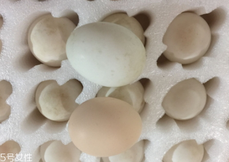 鸭蛋怎么腌制出油好吃,鸭蛋怎么腌制方法