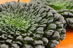 塔菜是什么菜图片,塔菜是什么菜