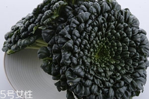 塔菜多少钱一斤,宝塔菜多少钱一斤