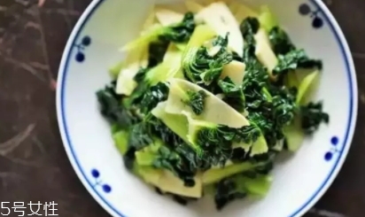 塔菜怎么挑选,什么是塔菜