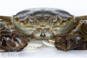 认识大闸蟹,认识大闸蟹PDF