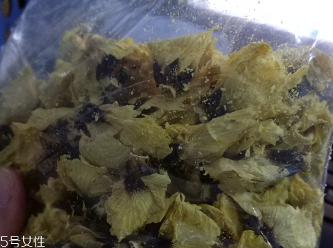 秋葵树长什么样,秋葵好不好