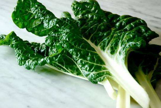 牛皮菜根里的牛皮是真牛皮吗,和血皮菜很像的有毒的 牛皮菜根里的牛皮是真牛皮吗,和血皮菜很像的有毒的