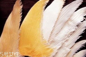 鲨鱼翅多少钱一斤,鲨鱼翅多少钱一斤图片