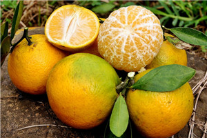 挑选橘子的技巧,挑选橘子的4个小技巧