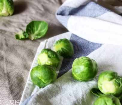 抱子甘蓝的营养价值,抱子甘蓝的营养价值和功效 抱子甘蓝的营养价值,抱子甘蓝的营养价值和功效