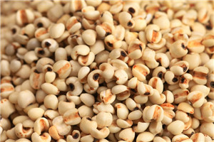 薏仁大小有区别吗,大小薏米仁的区别