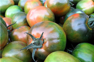 什么样的番茄,最大的番茄 什么样的番茄,最大的番茄