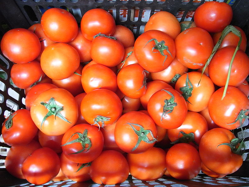 大番茄怎么挑选,大番茄怎么挑才好? 大番茄怎么挑选,大番茄怎么挑才好?