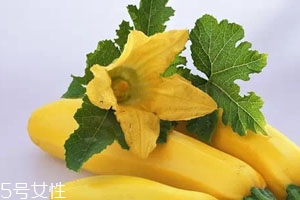香蕉西葫芦和普通西葫芦的差别,香蕉西葫芦图片