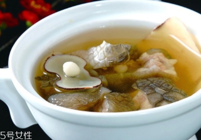 海底椰怎样煲汤,海底椰的做法大全 海底椰的家常做法