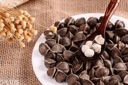 辣木茶百度百科,辣木茶图片