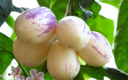 孕妇可以吃香瓜茄吗?,孕妇能吃茄瓜吗