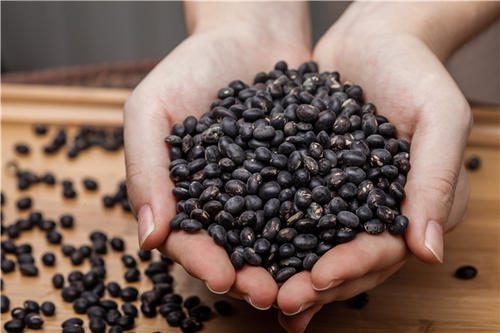 吃黑豆能补血吗,黑豆可以补血吗?