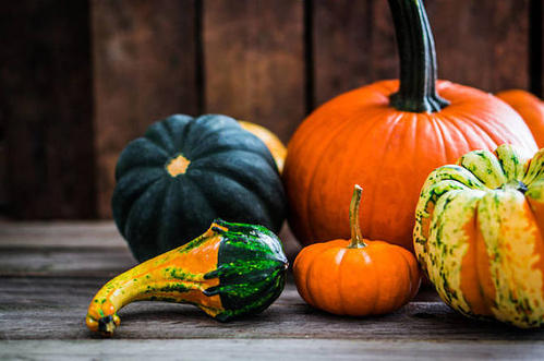 南瓜能补血吗,气虚能吃南瓜吗