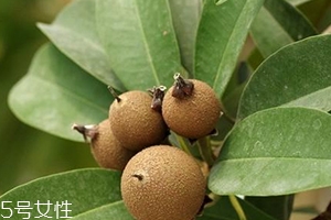 人心果多少钱一斤,人心果多少钱一斤,怎么吃