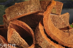 肉桂可以泡水喝吗,肉桂可以泡水喝吗他对搞笑视频