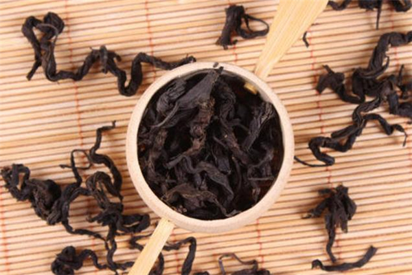 孕妇可以喝杜仲茶吗,杜仲孕妇能不能喝