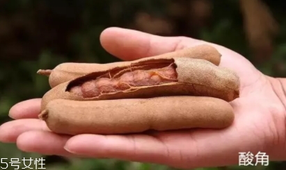 罗望子的功效和禁忌,罗望子的功效和作用 罗望子的功效和禁忌,罗望子的功效和作用