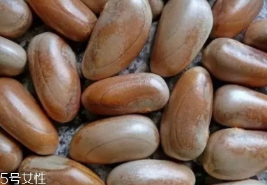 榴莲籽煲汤做法大全集,榴莲蜜籽可以吃吗