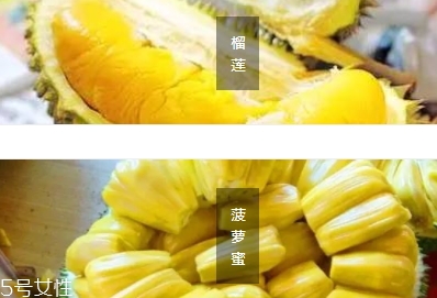 榴莲蜜的营养价值及功效和作用,榴莲蜜的营养价值