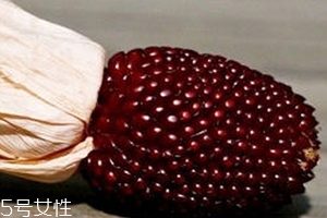 草莓玉米怎么吃,吃完玉米可以吃草莓吗