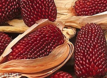 草莓玉米可以生吃吗,吃完玉米可以吃草莓吗