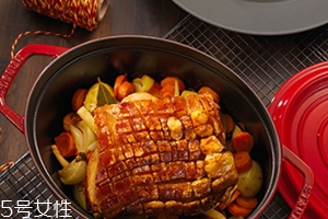 珐琅锅的优缺点,珐琅锅什么牌子的好