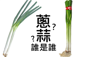 是葱不是蒜,葱和蒜怎么区分 是葱不是蒜,葱和蒜怎么区分