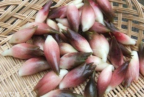 紫姜图片和功效,姜是紫色的能吃吗