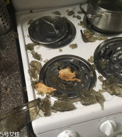 看看大家怎么说,望大家知道怎么说