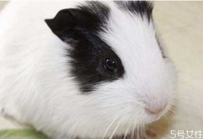 韩国热销化妆品前八(韩国前三名化妆品) 韩国热销化妆品前八(韩国前三名化妆品)