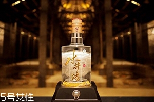 水井坊52度价格及图片,2005年水井坊52度现在值多少钱
