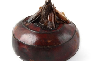 荔浦马蹄什么时候上市,广西马蹄什么时候上市