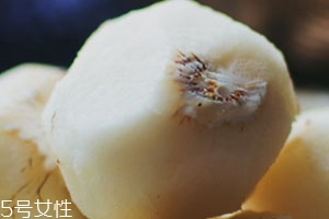 吃马蹄能减肥吗,马蹄可以减肥吗