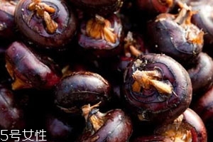 马蹄发芽还能吃吗,马蹄生芽了能吃吗