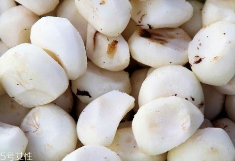 马蹄莲不发芽的原因,马蹄出芽能吃吗