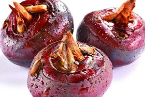 马蹄可以放冰箱吗,马蹄能放进冰箱保鲜吗