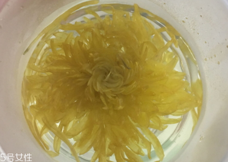 金丝皇菊的特点和功效,金丝皇菊的特点