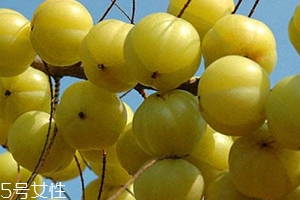 余甘子怎么吃最好,余甘子怎么吃 吃法介绍